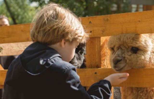 Городская ферма на ВДНХ -