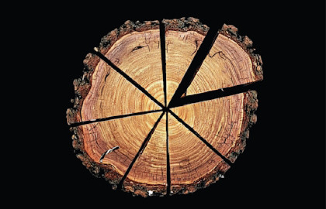 Вишнёвый сад - Mosbilet.ru